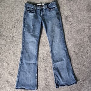 Express Women's Blue Flare Jeans